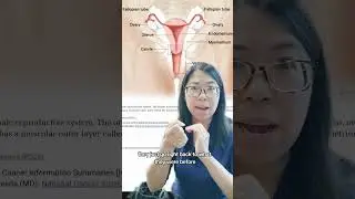 Does this cause "looseness"? Gynecologist Explains! #shorts
