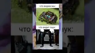 паук Петя мем