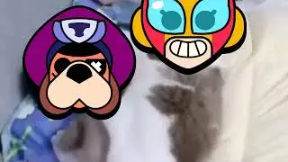 Приколы Brawl Stars 90 часть