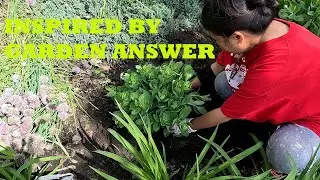 Inspired By Garden Answer