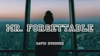Mr. Forgettable - David Kushner | Lyrics