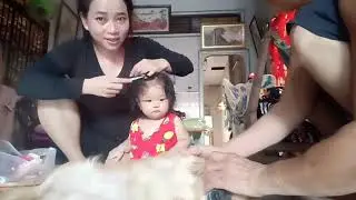 lisa và chi mun chơi với nhau....hihi