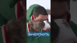 😳 Правда ли, что ненцы пьют кровь оленя. Традиции коренных народов севера 