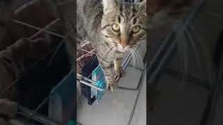 подскажите 