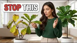 ultimate fiddle leaf fig care guide: tips for thriving plants 🌿