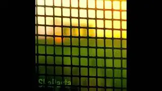 SkaPasta - ZIP FILES