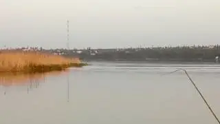 2.05.2017. Річка Південний Буг, Матвіївка, промисловики ставлять сітку під час нерестової заборони.