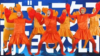 【肉チョモ×SLH】エビカニクス【踊って歌ってみた】