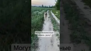 Что думаете? 