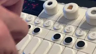 Guitar loop - OP-1 Field