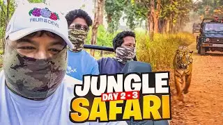 DID WE SPOT A TIGER IN 4 JUNGLE SAFARIS 💎