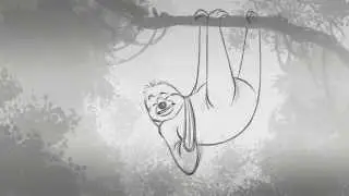 Animation Pencil Test 