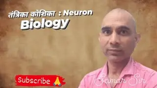 तंत्रिका कोशिका  : Neuron