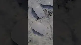 яблоки на снегу )))           apples in the snow