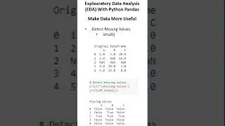 Handling Null Values | Exploratory Data Analysis (EDA)