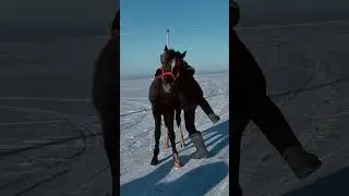 Ауылды сағынсаң ♥️♥️♥️♥️