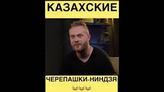 ЧЕБАТКОВ / КАЗАХСКИЕ ЧЕРЕПАШКИ-НИНДЗЯ / ПЛОХИЕ ПЕСНИ