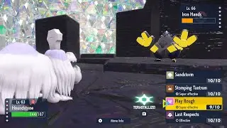 Wild Tera Run #6 | Pokémon Violet