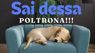 Borte do Sadonana - localização de objetos