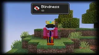 Minecraft but you Beat it Blind...