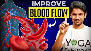 Improve your Blood Flow & Circulation | Exercises & Explanation | Saurabh Bothra