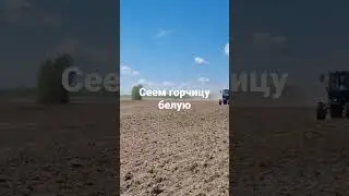 14 мая 2023 г.