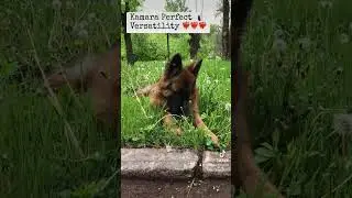 Камарочка❤️‍🔥 
