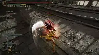 Elden Ring Blood Butchering Knife x2 power stance 59 arcane 276 bleed 1 hit lvl 239 naked