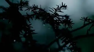 Music with Rain Sounds for Stress, Sleep, Meditation, Yoga@favirtualstudio