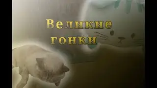 Великие гонки. Официальный фильм! От Star Bosua