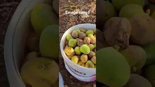 Emek barındırır!