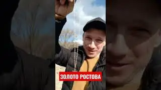 ПОИСК ЗОЛОТА В РОСТОВЕ НА ДОНУ 