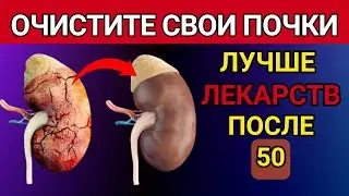 Очистите свои почки! Лучше любых лекарств после 50 лет #ПроЗдоровье #Здоровье #Долголетие #почки