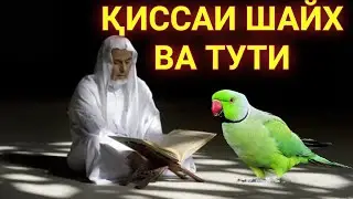 🔴ҚИССАИ ШАЙХ ШОГИРДОНАШРО БА ГИРЯ ОВАРД