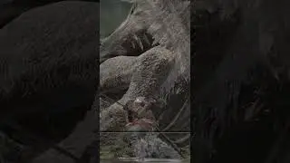 Elden Ring Boss Checklist: Dragon Agheel 
