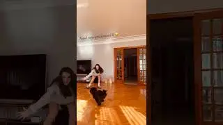 Burcu Özberk evde köpeği ile top oynamaya çalışıyor