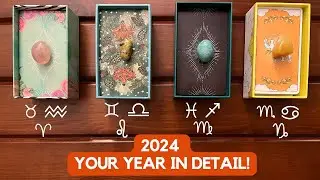 2024 Your Year in Detail! ✨🎥  🎞  👀✨  ❷⓪❷❹ ✨
