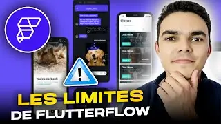 The 3 Limitations of FlutterFlow You Absolutely Need to Know (Ecosystem, Loading, Export)