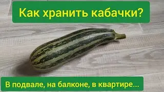 Как хранить кабачки/ хранение кабачков в квартире/ хранение кабачков на зиму/срок хранения кабачков