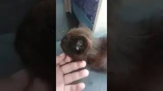 мы держим кулачки за него он будет жить!Пишите свое мнение