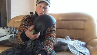 Накачиваем профиль гуся помпой от лодки