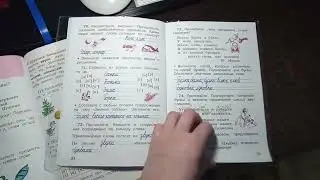 Русский язык 2 класс. Учебник 1 часть.