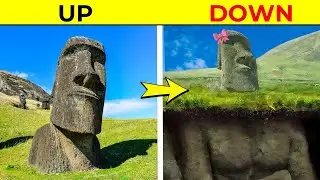 Reality of Sigma Statues
