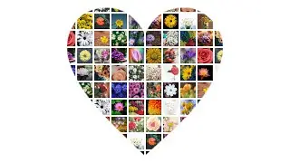 Make Heart Shape Photo Grid Collage in 60 Seconds | FigrCollage