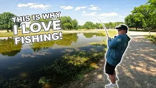 Fishing EXTREMELY Pressured Ponds for Big Summer Bass! (Fort Worth, Texas Pond Hopping)