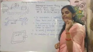 Resting membrane potential(RMP) nervous system