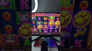 КУПИЛ БОНУСКУ ПОДПИСЧИКУ В CLEOCATRA #shorts