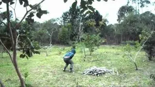 bailarino paisagista. investigação continuada