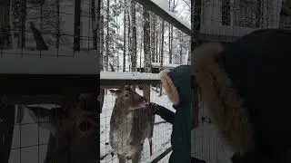 27 ноября 2023 г.