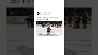 Refs Halt A *GOALIE FIGHT* Between John Gibson And Pheonix Copley!